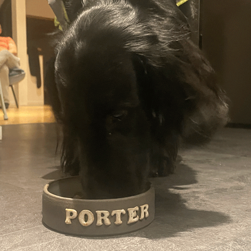 Hundskål timmervikens keramik eget namn kattskål